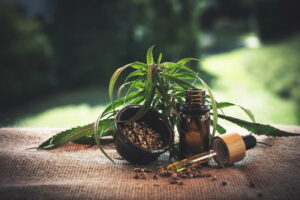 cbd_heilpflanze